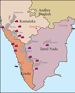 South India Arabica Map